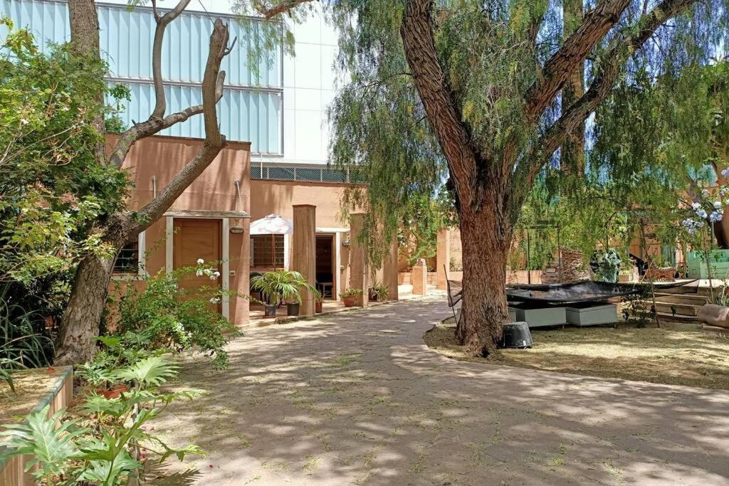 Apartamento-Bungalow con jardín y garaje Santa Cruz de Tenerife Exterior foto